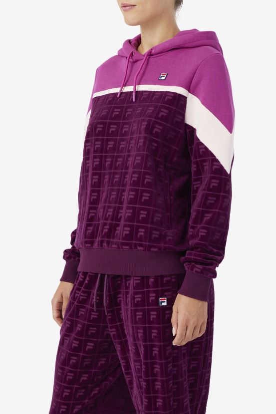 vino de uva/colorete/popurrí FILA lorri velour sudadera con capucha uva vino/rouge/potpourri fila 6L8PR21487